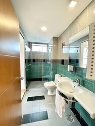 Princess Of Wales Park (D10), Semi-Detached #551847901